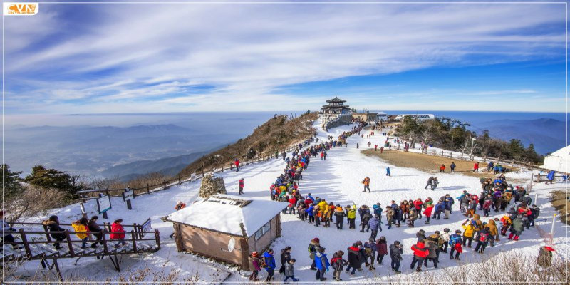SHIMLA MANALI CHANDIGARH